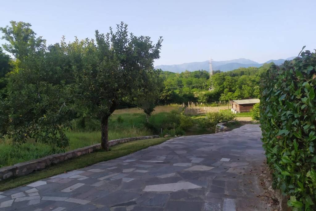 Appartamento Nel Verde Tra Cinque Terre E Versilia Barbarasco Buitenkant foto